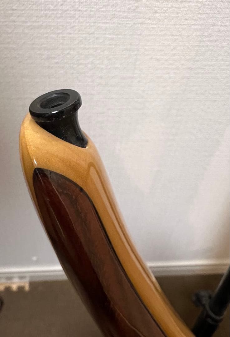 TUNE TS-365 / 5strings model 5弦フレットレスベース