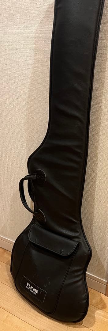TUNE TS-365 / 5strings model 5弦フレットレスベース