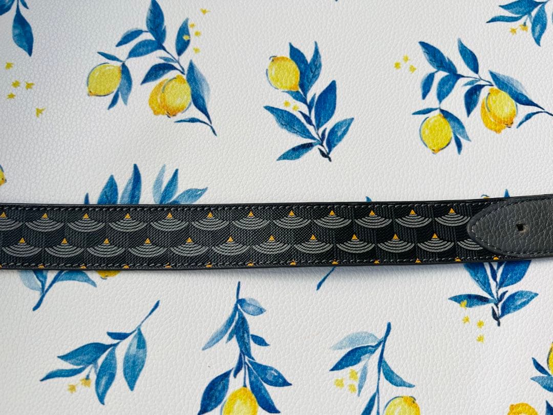 FAURE LE PAGE レザー ベルト 約104cm