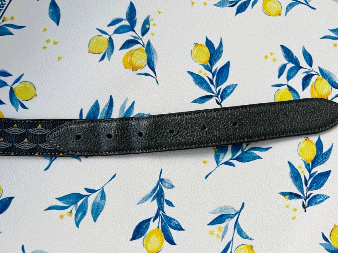 FAURE LE PAGE レザー ベルト 約104cm