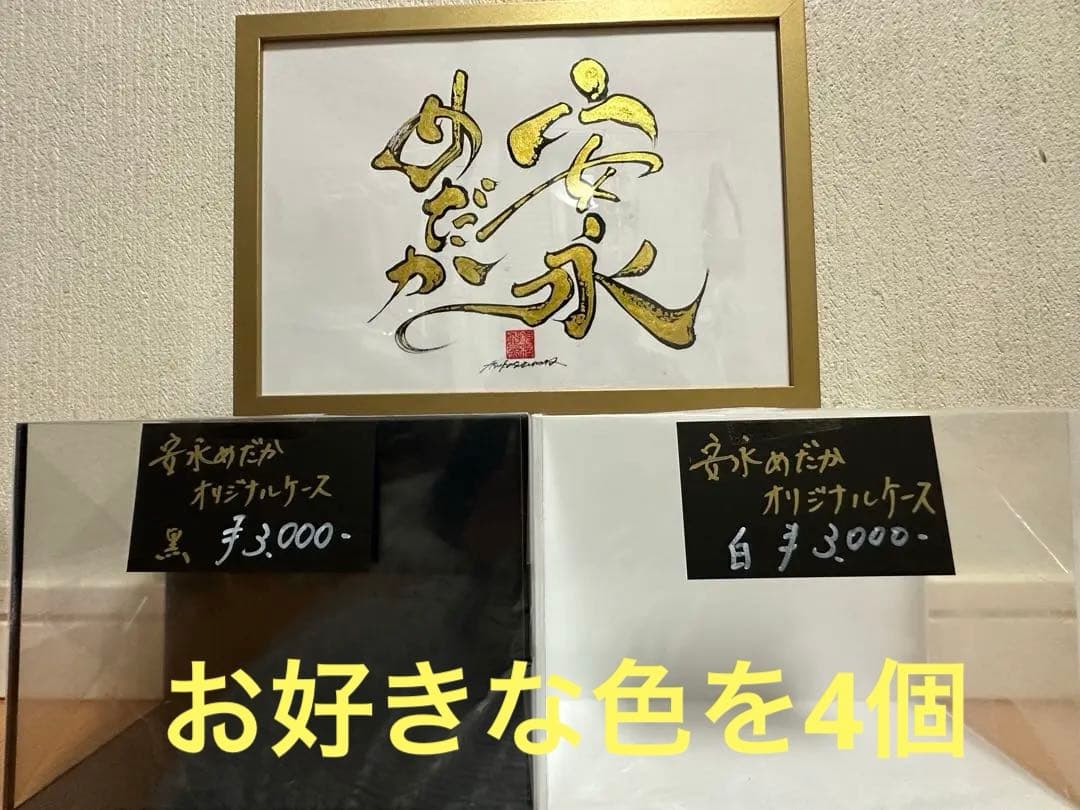 大人気【安永めだか】メダカ横見ケース-水槽- 超お得4個セット