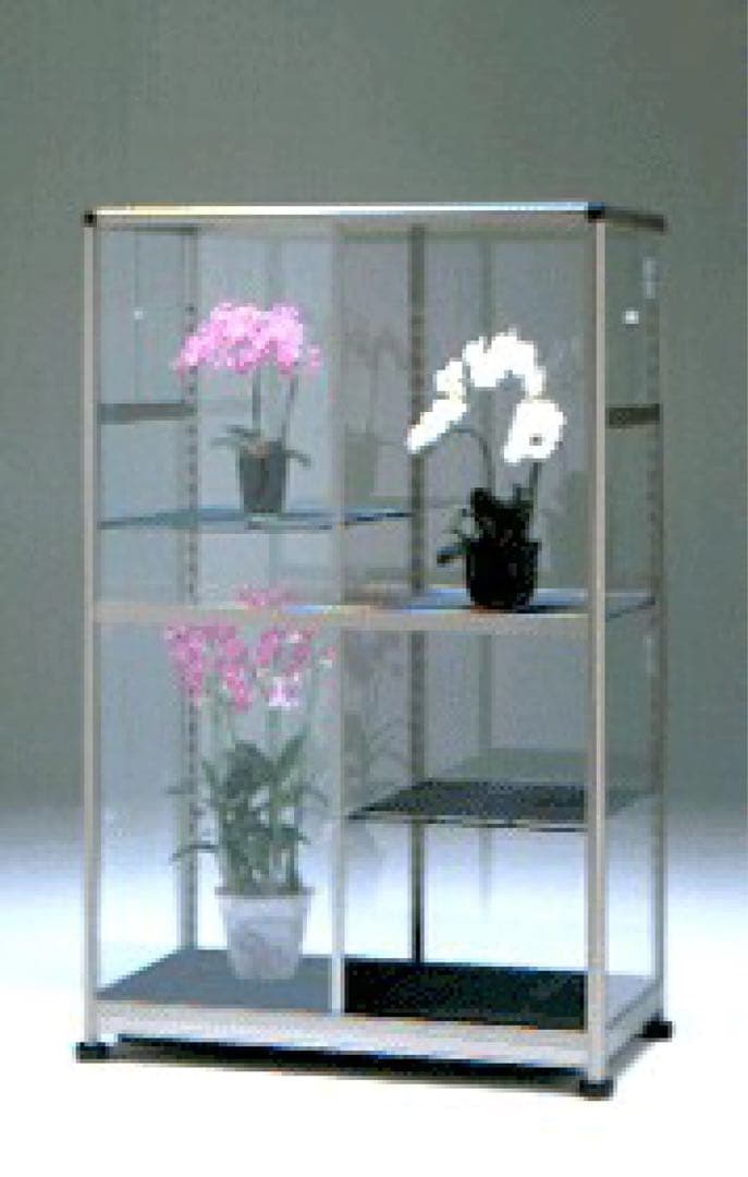 PiCa ピカ FHJ-1711BL ガラス温室 手渡し限定