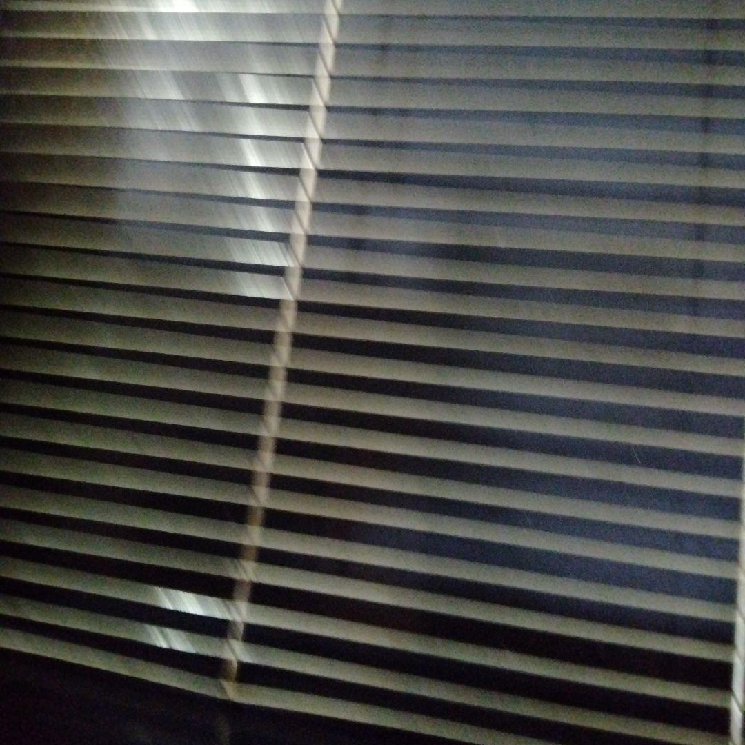 未使用　マルカン　バードパレスキング2台