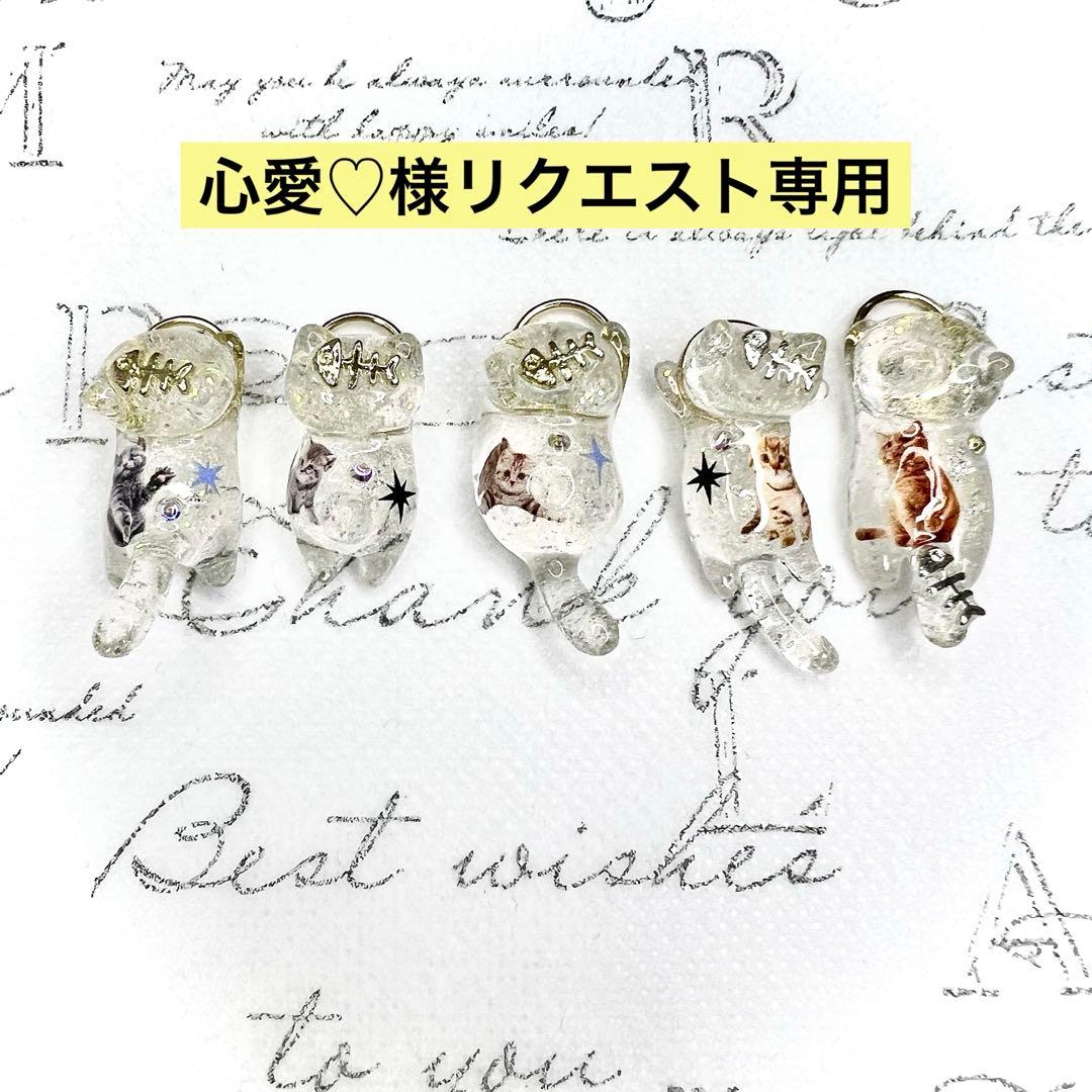 リクエスト専用　キラキラ猫ちゃん　お魚　猫　5個セット