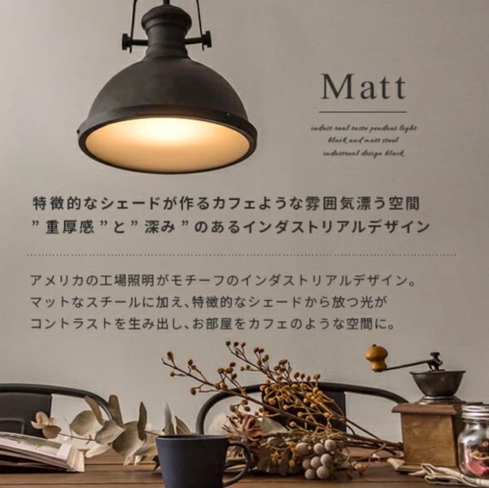 ブラック ドーム型 シーリングライト　LED対応