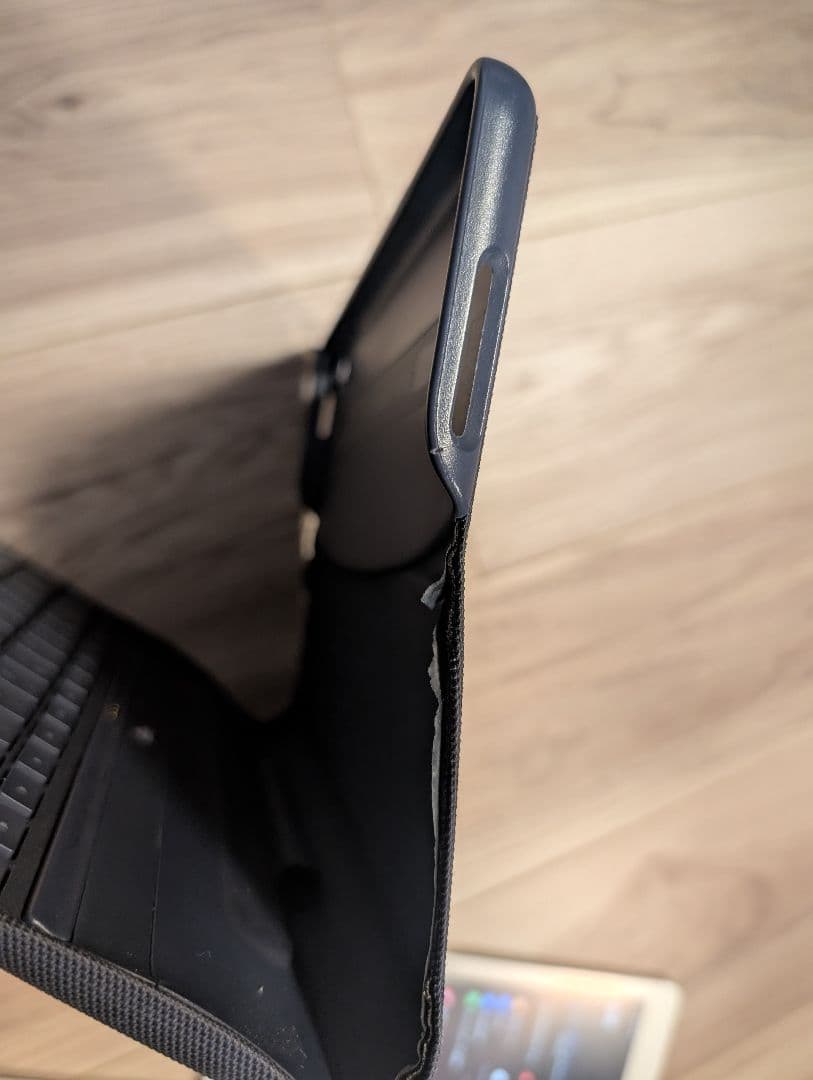 む*り様 iPad Pro 9.7 128GB Cellularモデル