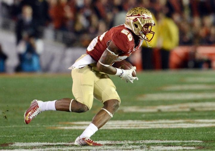 ナイキ フロリダ州立大学 セミノールズ