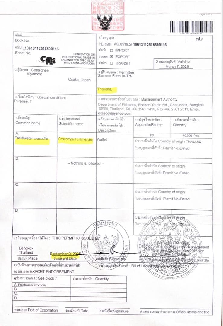 新入荷 クロコダイル 長財布 ネイビーブルー ワニ本革 メンズ レディース