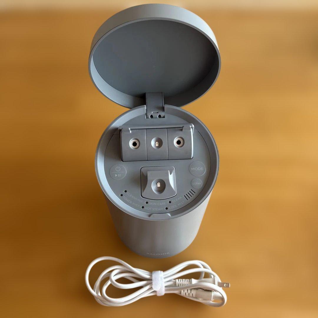 SALONIA ピュアブライトスチーマー