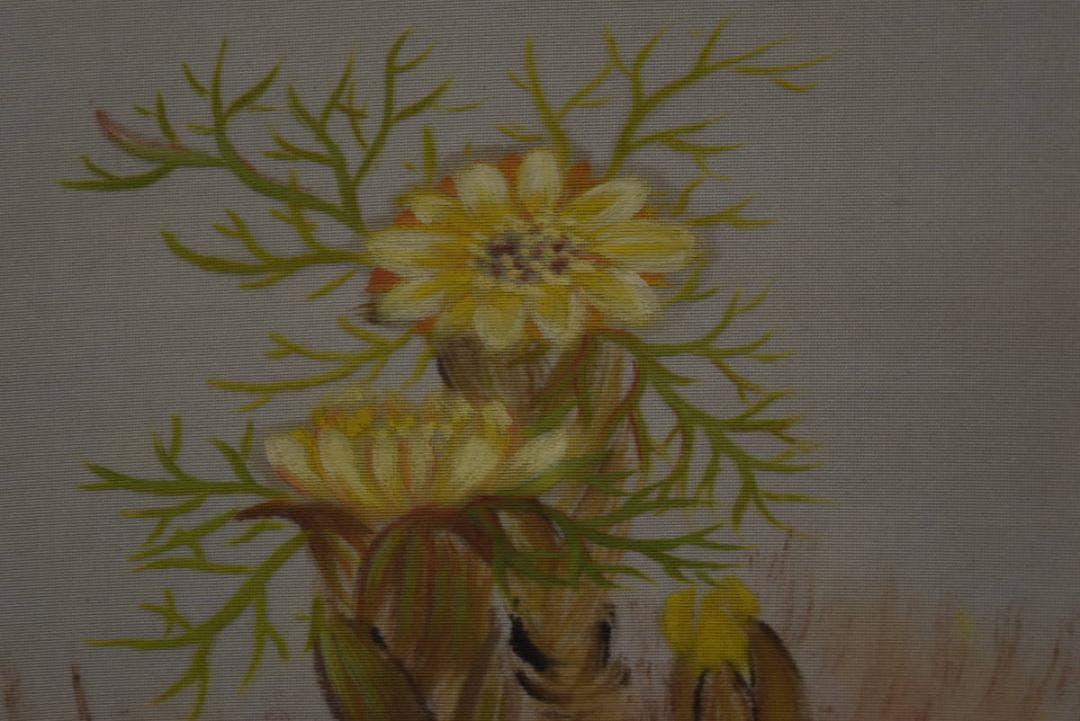 【真作】上田陽愷/福寿草画賛/俳句/掛軸☆宝船☆Z-934