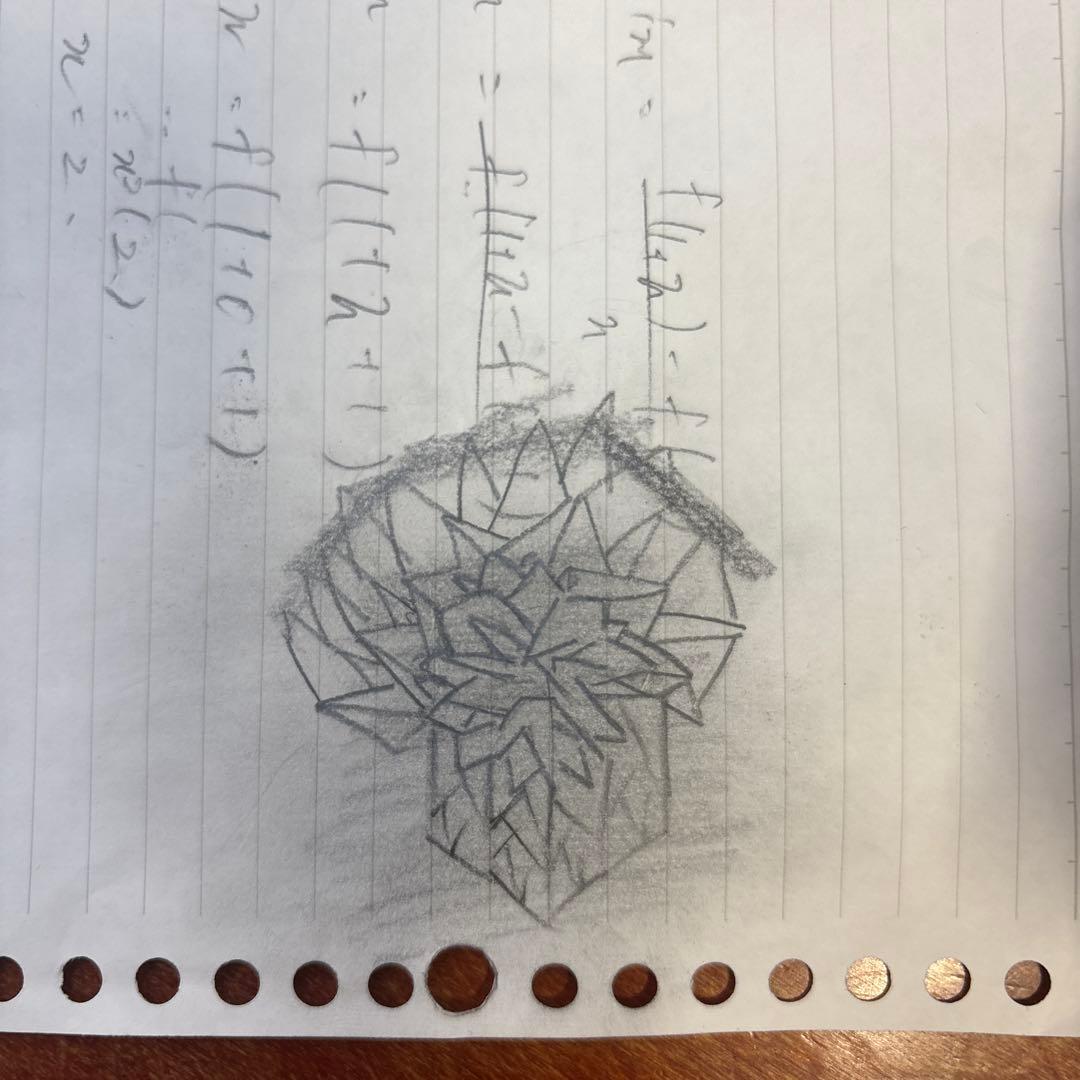 これから有名になる高校二年生の現代アート(実はゴッホの孫)