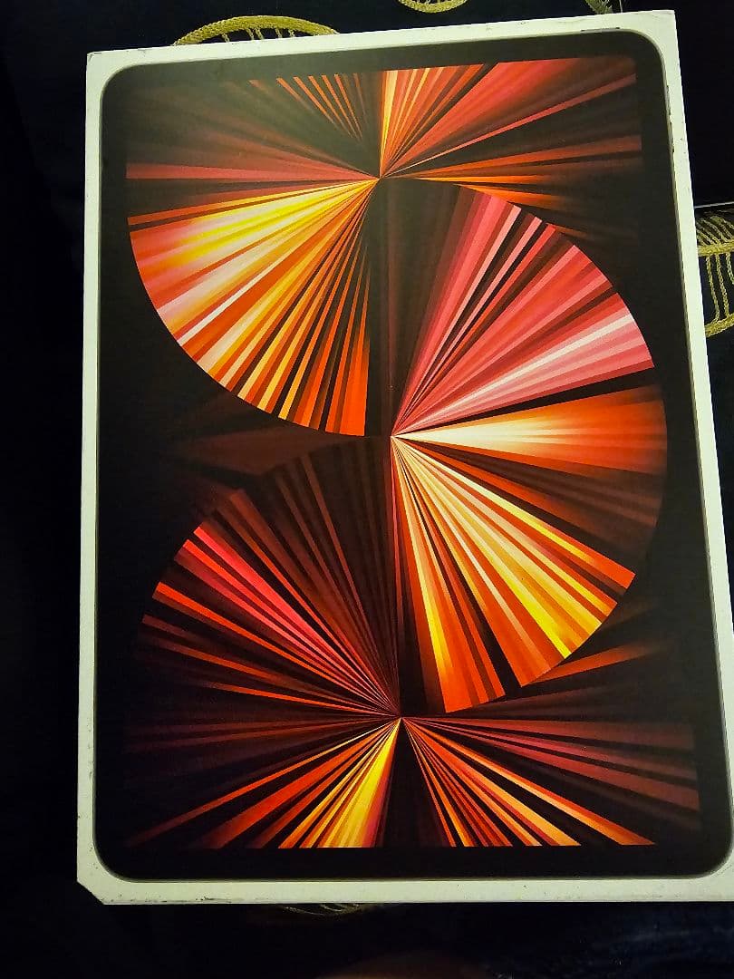 専用出品iPad Pro