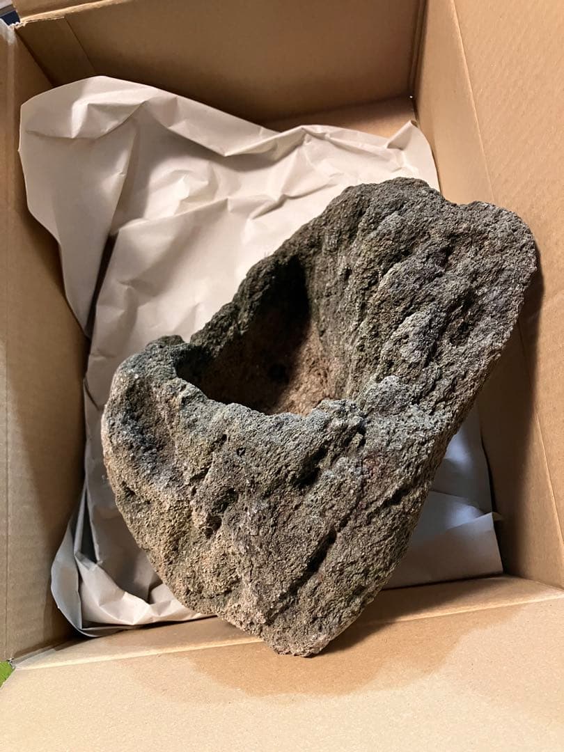 山渓鉢　希少　ガーデニング　苔　山野草　盆栽　多肉植物　テラリウム　溶岩石