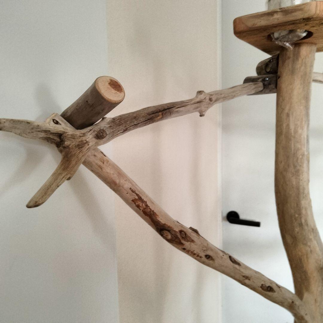 KT バードアスレチックジム大型 天然木 自然木 流木 止まり木 インコ