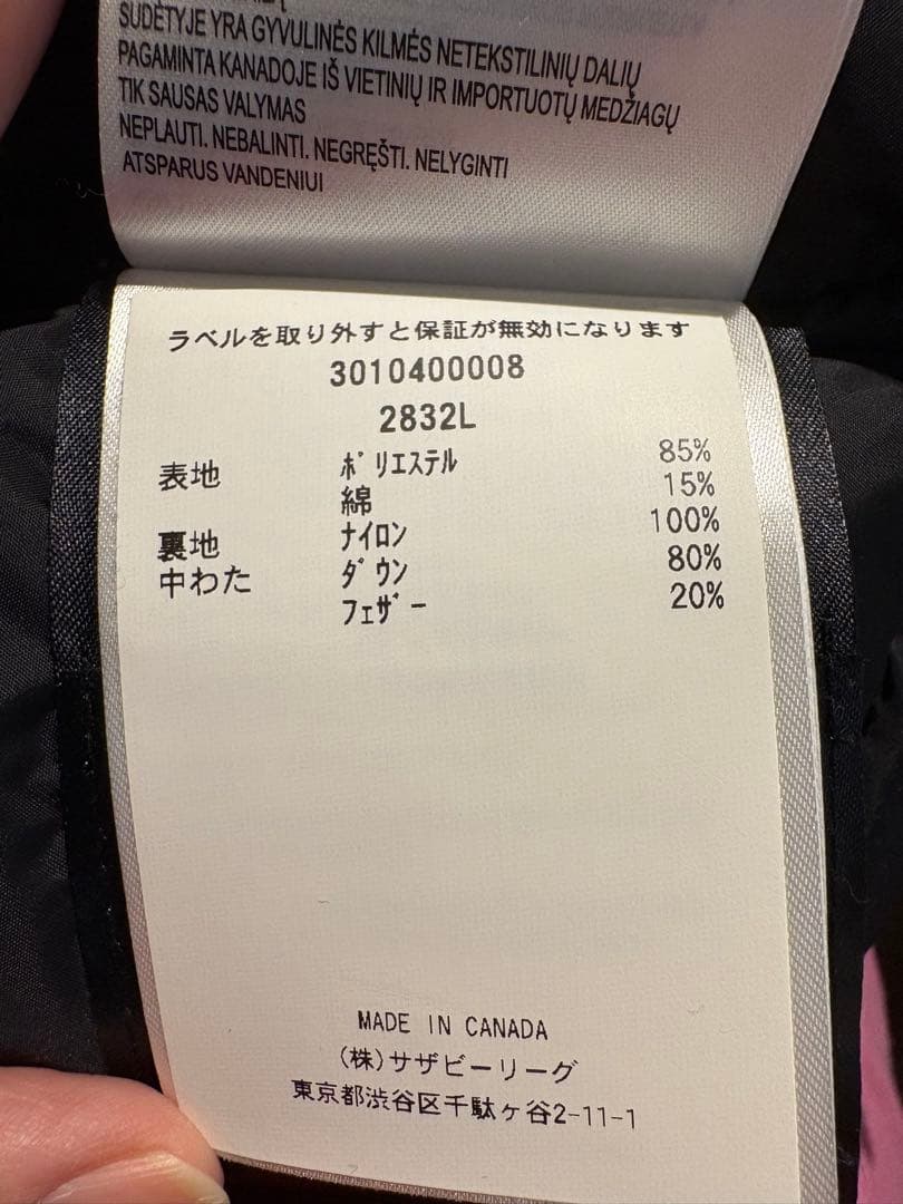   Arctic Program ダウンベスト ブラック