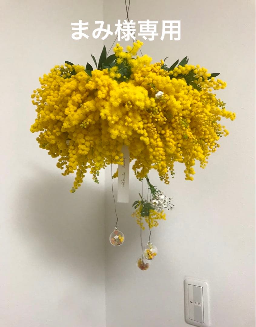 ミモザフライングリース