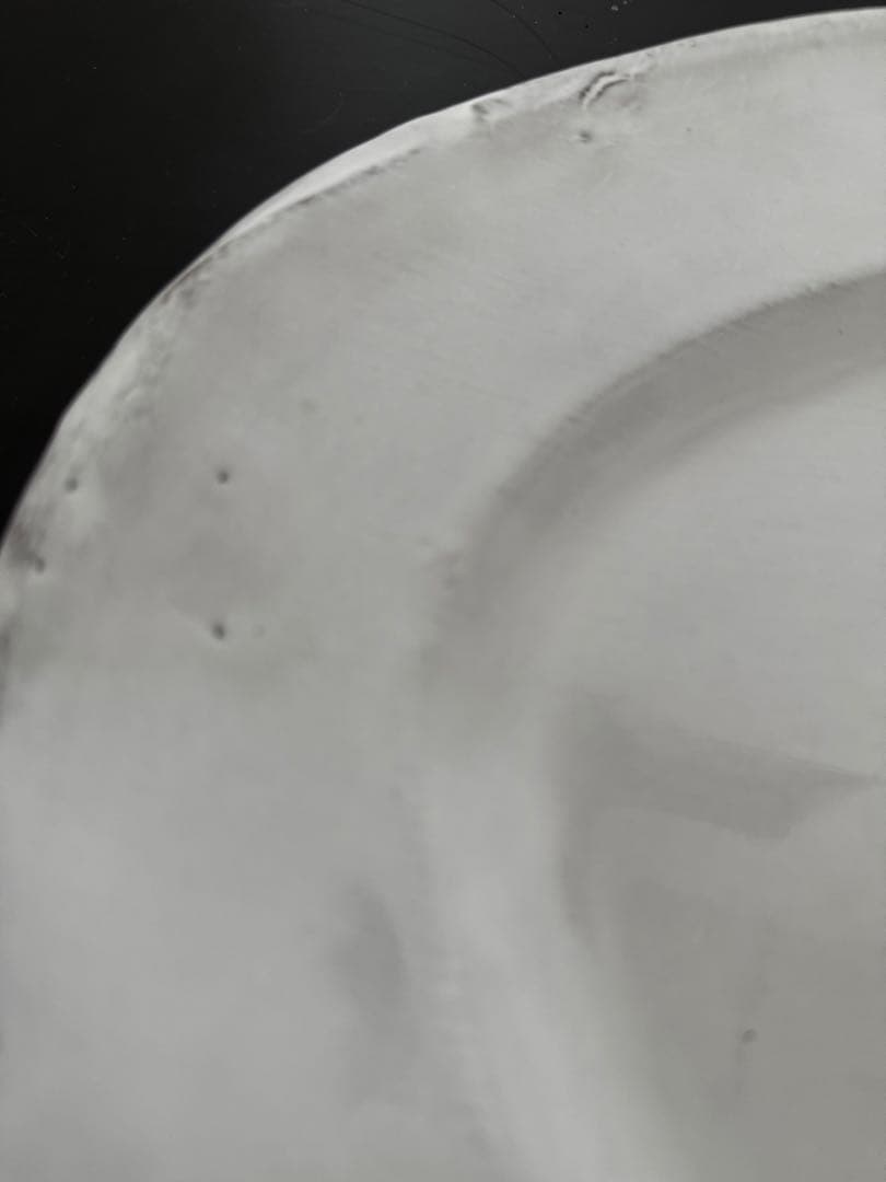 食器 ASTIER de VILLATTE/Alexandre Oval plate