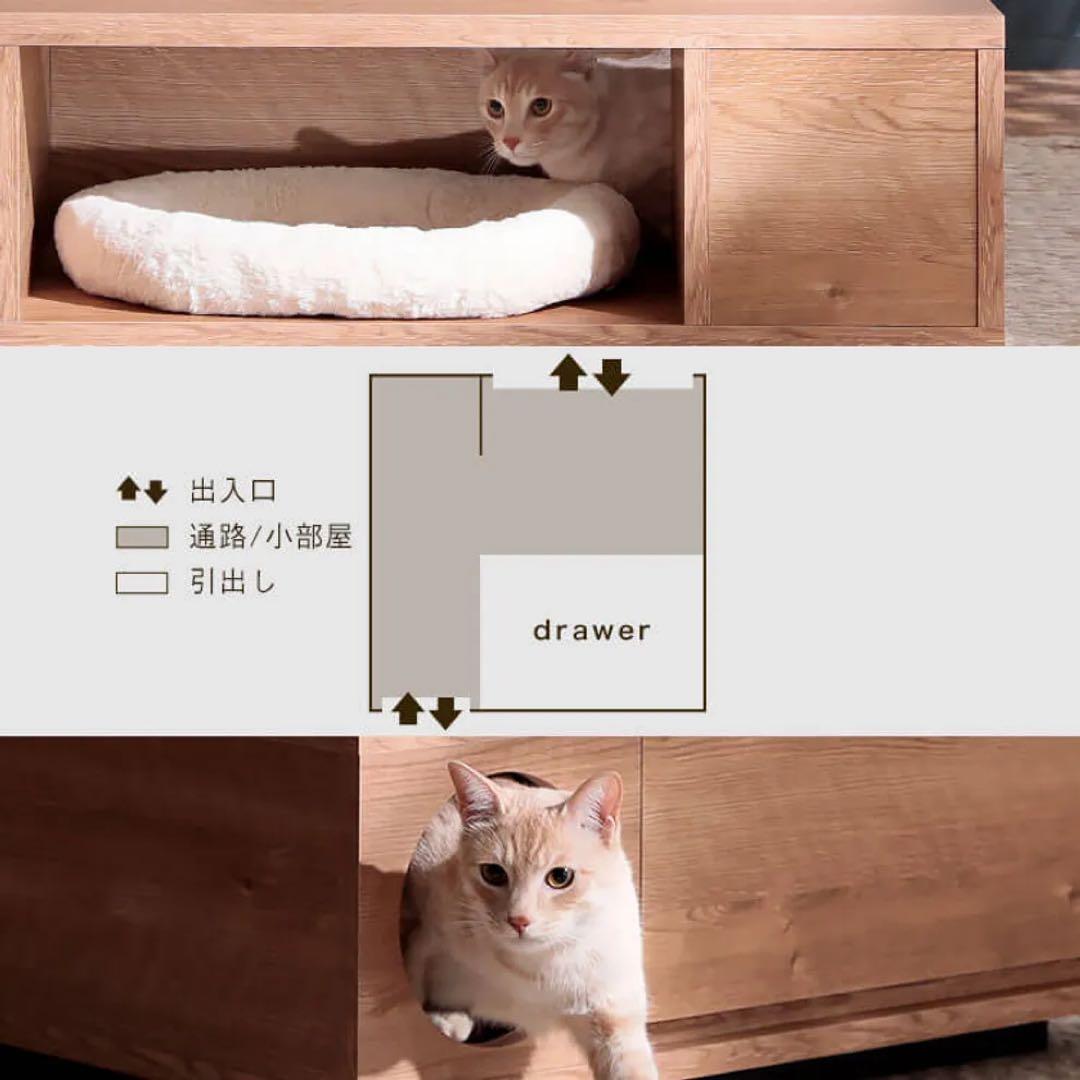 LOWYA 猫 テーブル ロウヤ ローヤ ローテーブル 引き取りも可 2月まで