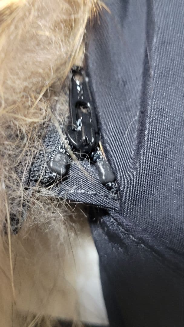 最終お値下げ　DANTON　ダントン　ファー付き　ダウンコート　黒　Ｌサイズ