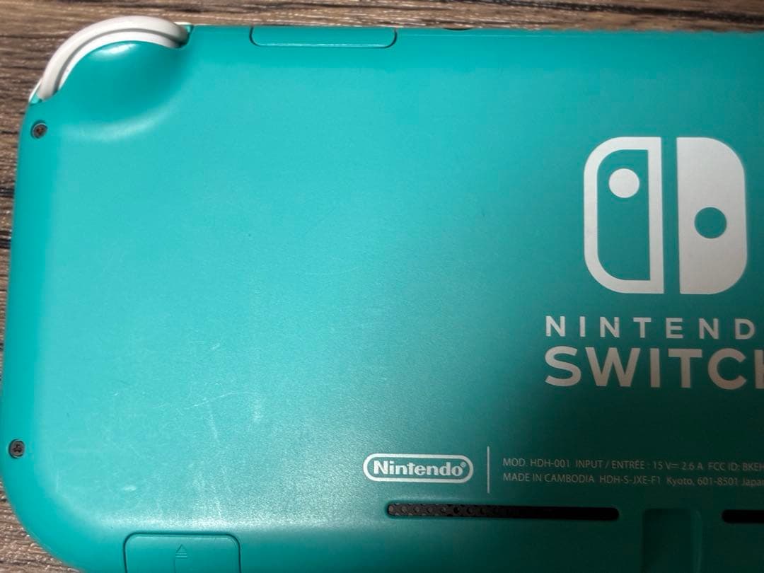 ニンテンドー スイッチ ライト Nintendo Switch Light