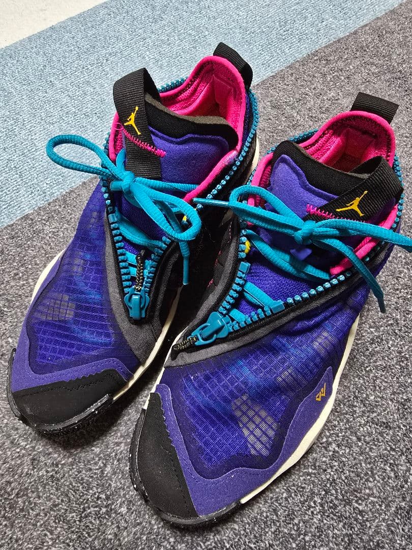 Nike Jordan Why Not .6　25cm