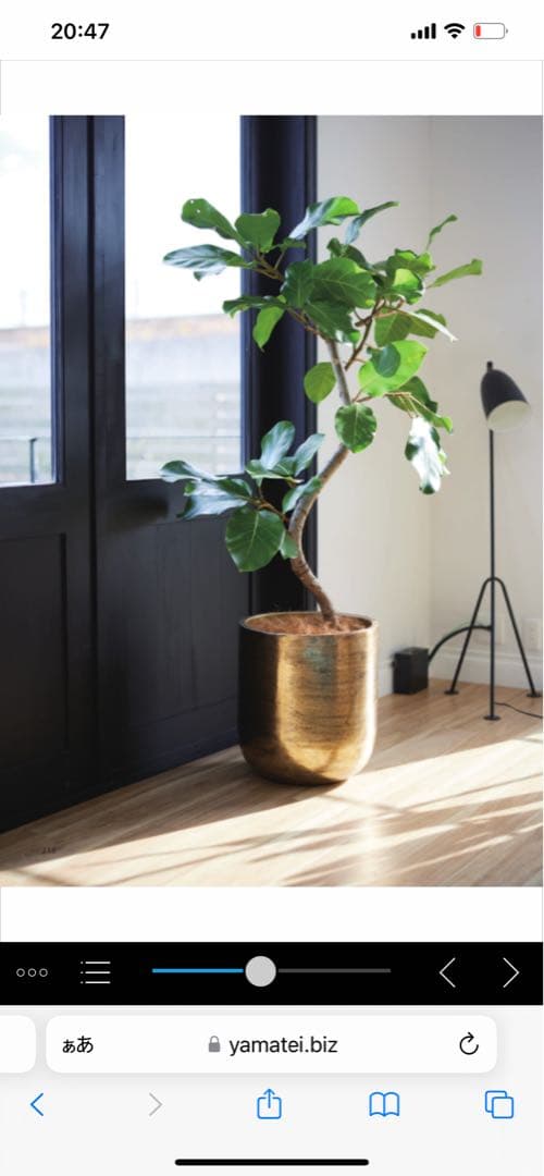 鉢カバー　大型　確認用