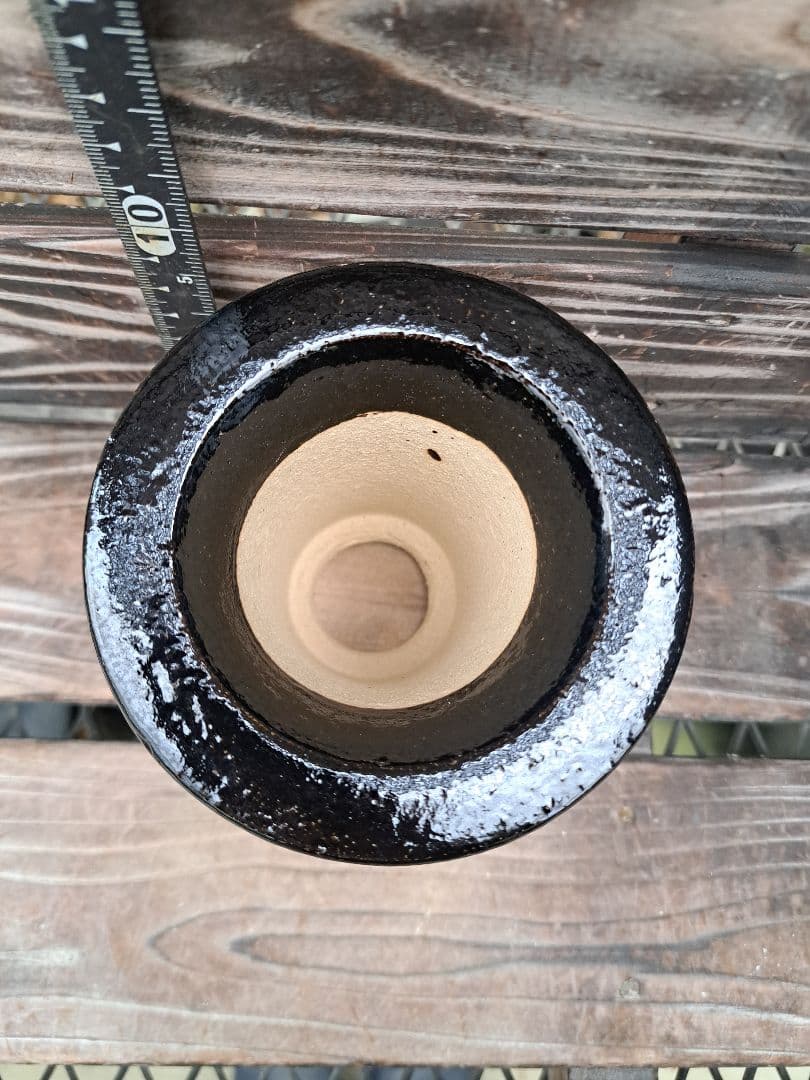 錦鉢　万年青　オモト　長生蘭　風蘭　古典植物　植木　観葉植物　インテリア　園芸