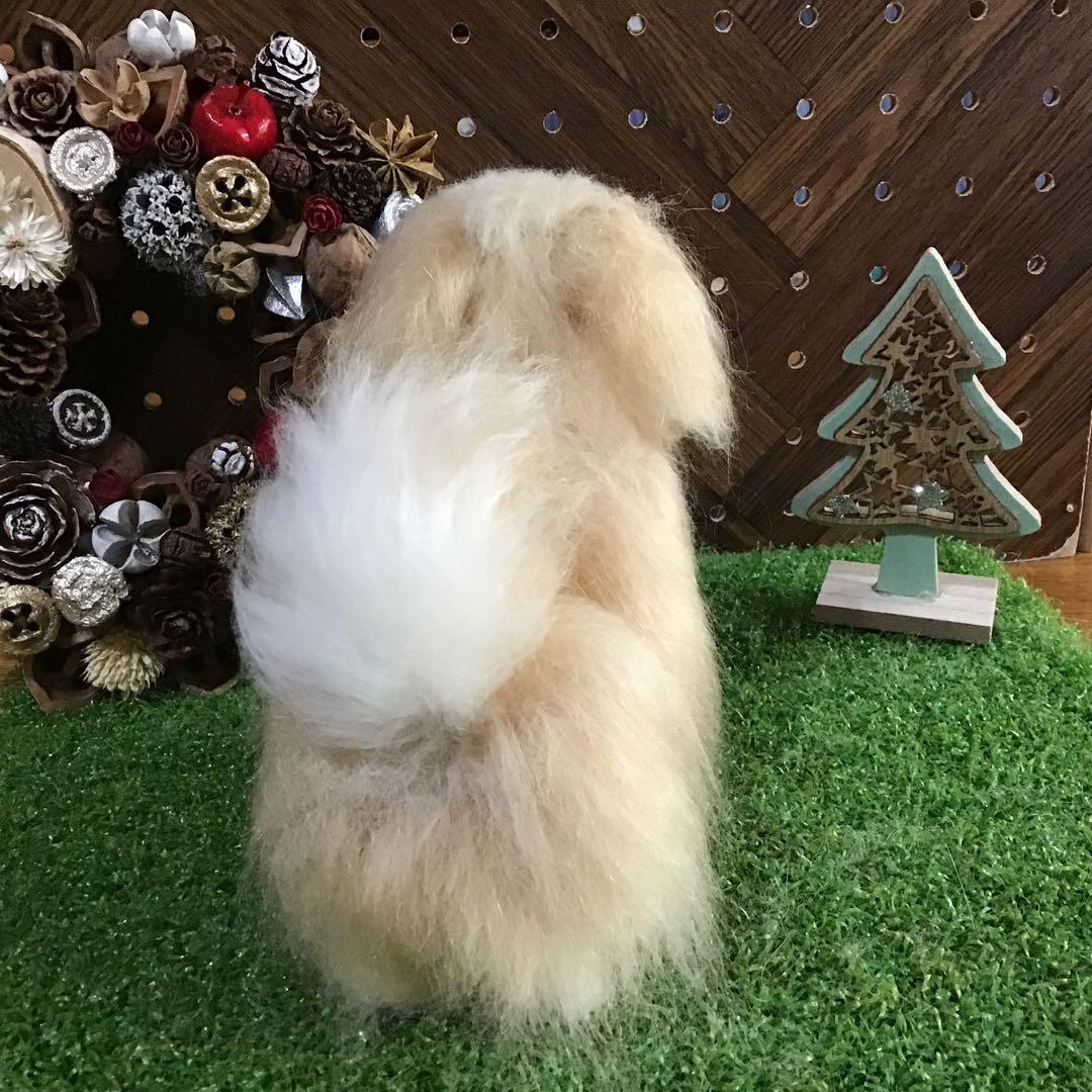 ペキニーズ立ち姿（クリーム）