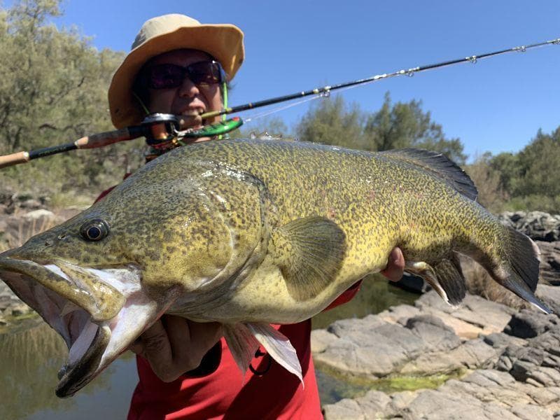 激安価格！ フィンチ　CANARIA 610M　4ピースロッド 完全未使用