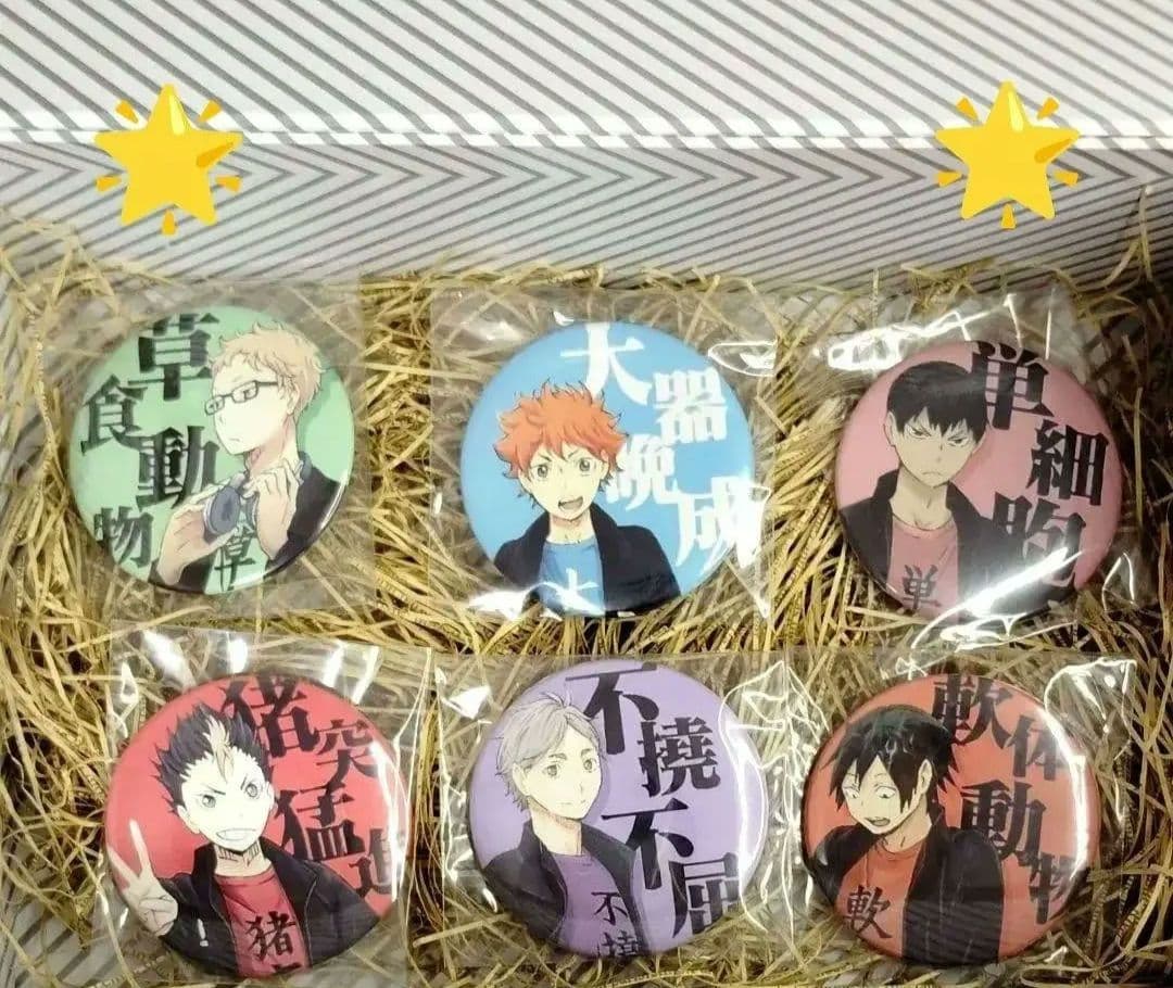 ハイキュー 缶バッジ 四字熟語 セット