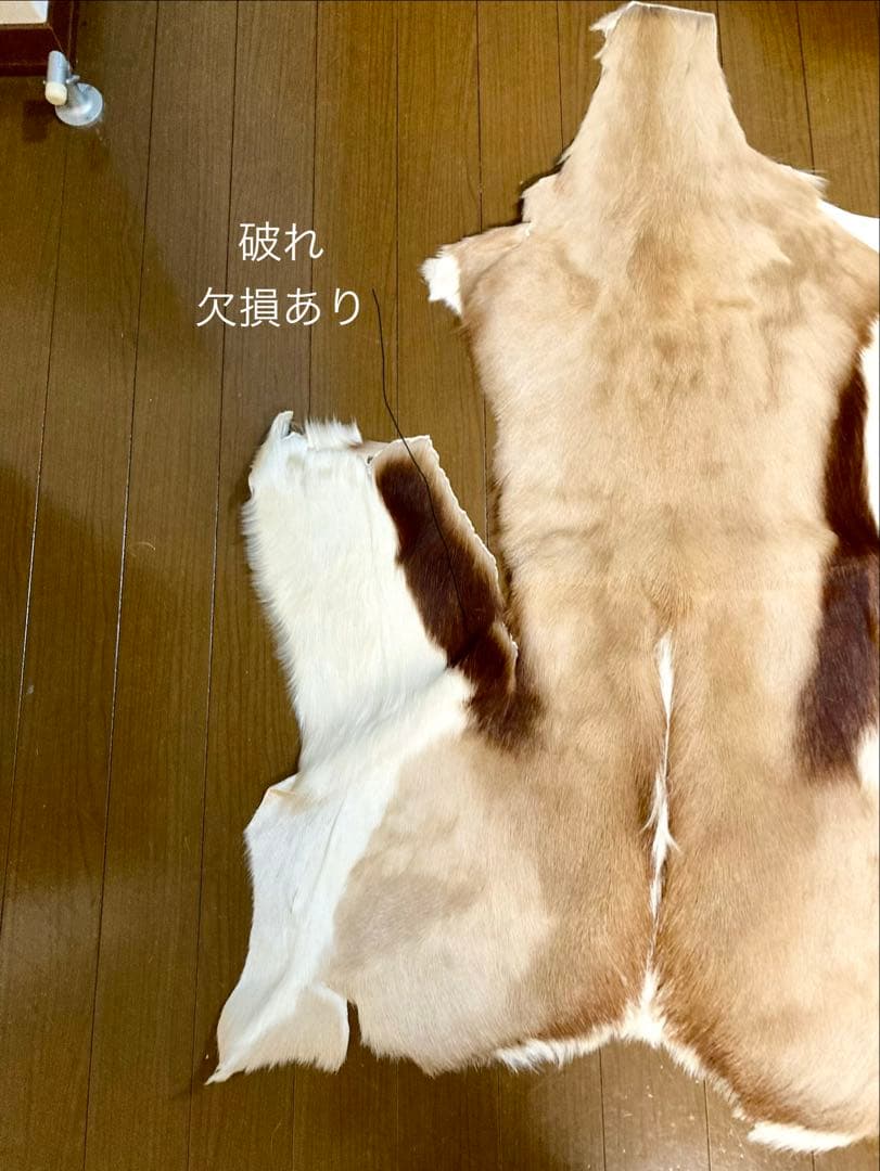 毛皮/ラグ/2枚セット/インパラ/スプリングボック/キャンプ/カーペット