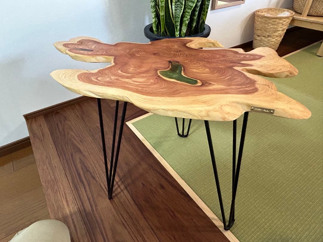 レジンテーブル、貝塚伊吹　輪切