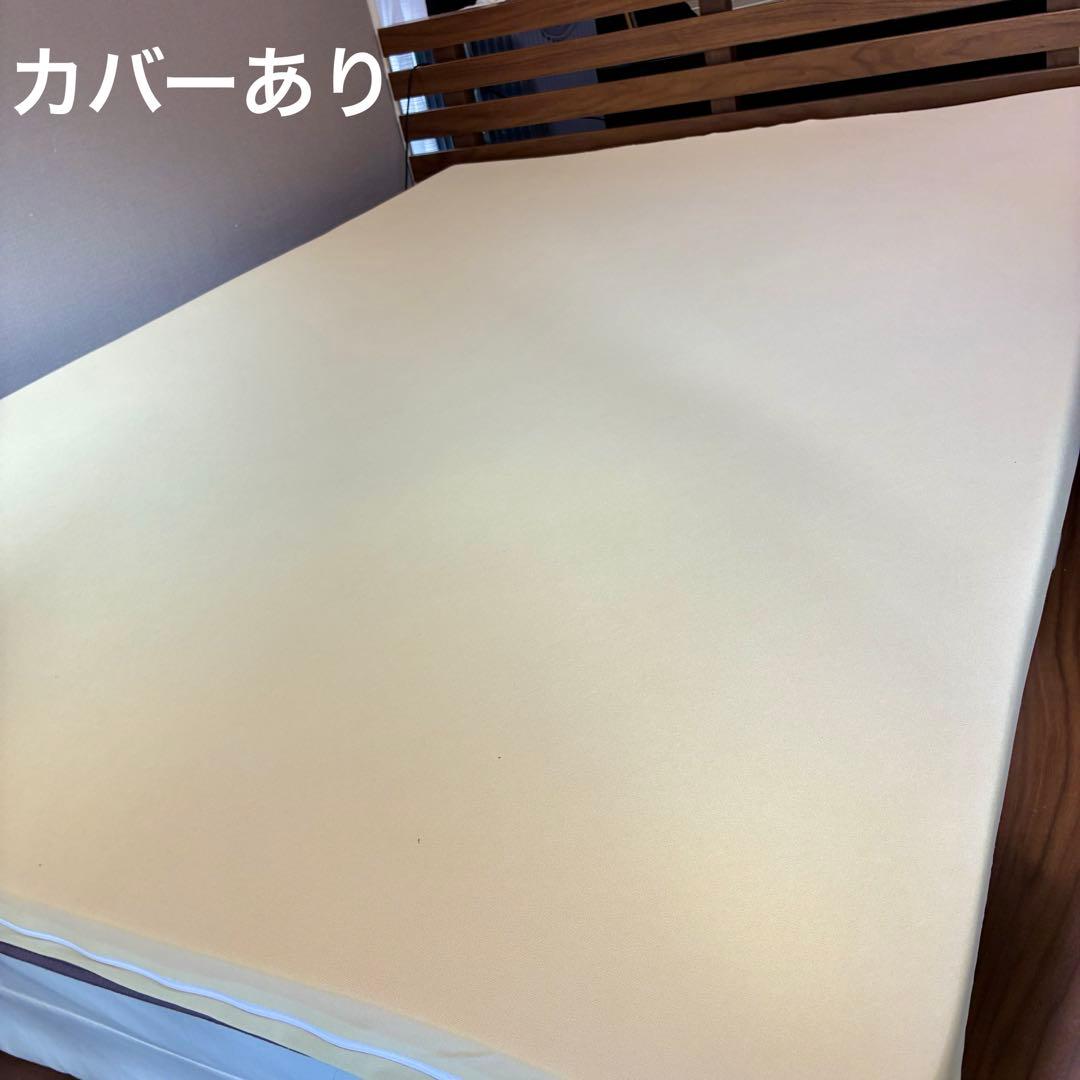 トゥルースリーパー プレミアム マットレス ダブル 5cm 1年使用・へたり極少