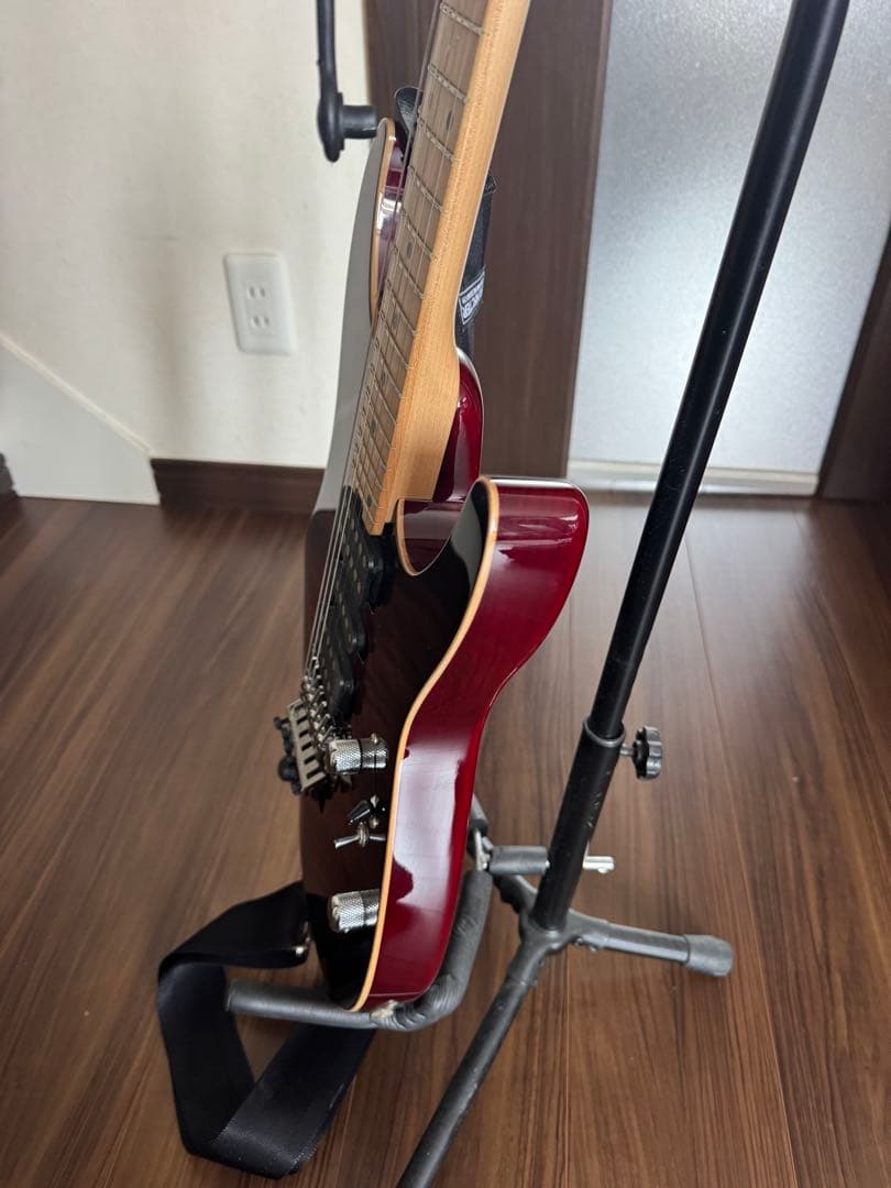 SCHECTER NV-DX-24-AS　D-tunaつき