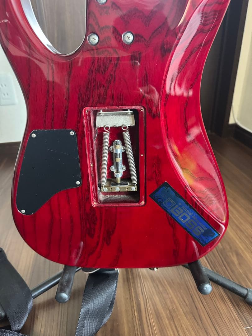 SCHECTER NV-DX-24-AS　D-tunaつき