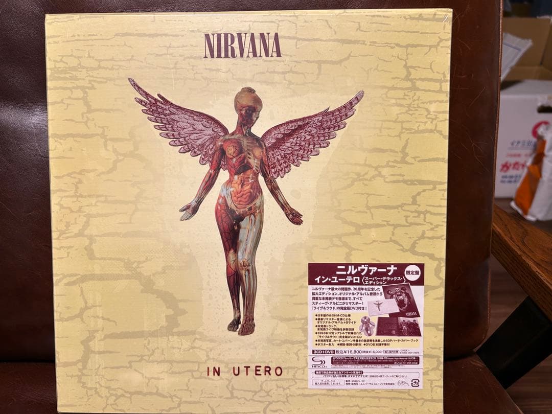 洋楽 Nirvana In Utero 20th AnniversaryEdition