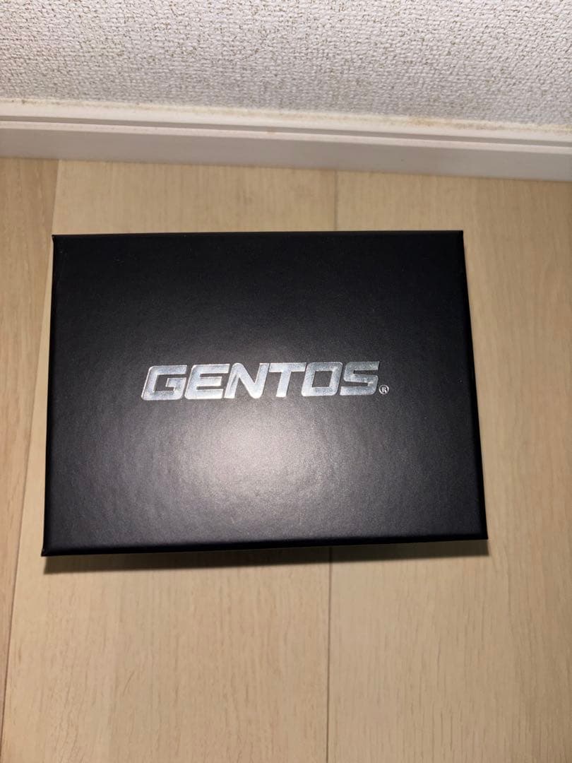 GENTOS GH-100RG ヘッドランプ 1100ルーメン