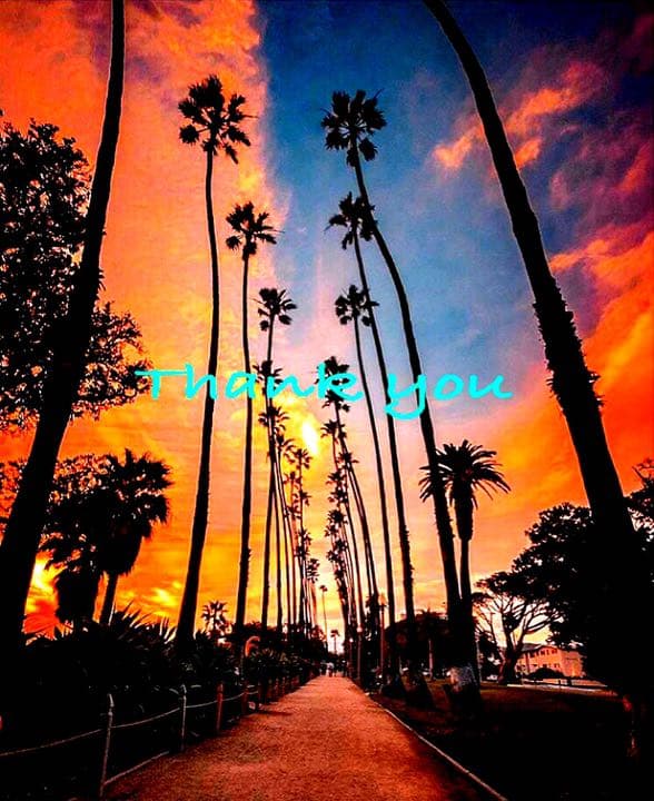 新作☆キッチンラックCentral☆木目強調☆窓枠インテリア☆西海岸