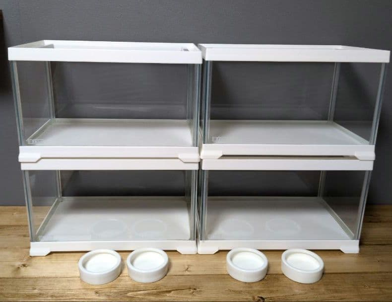 エキゾテラ レプテリアホワイト300Low 4個セット レプタイルディッシュ付き