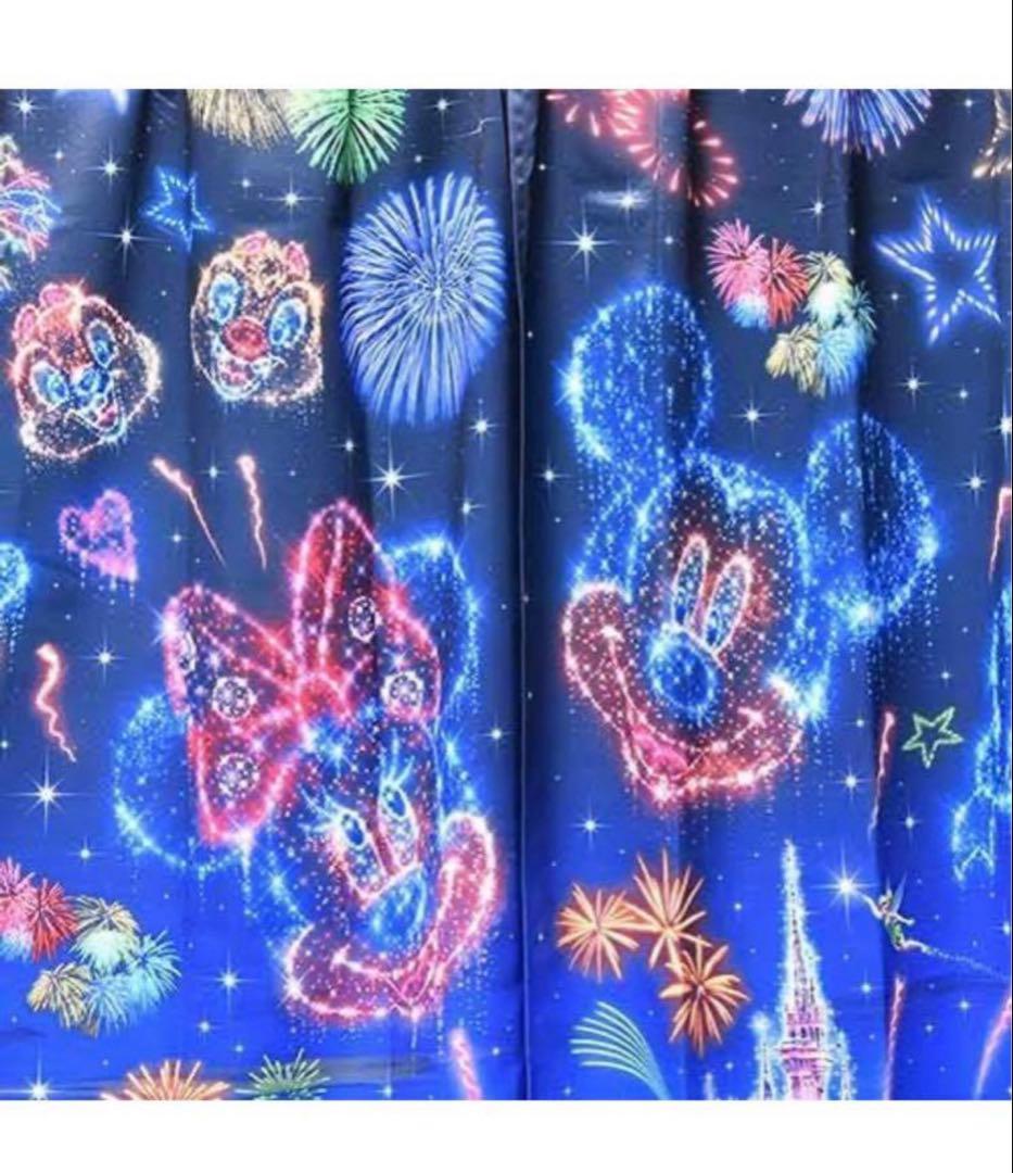 東京ディズニーリゾート　花火　カーテン