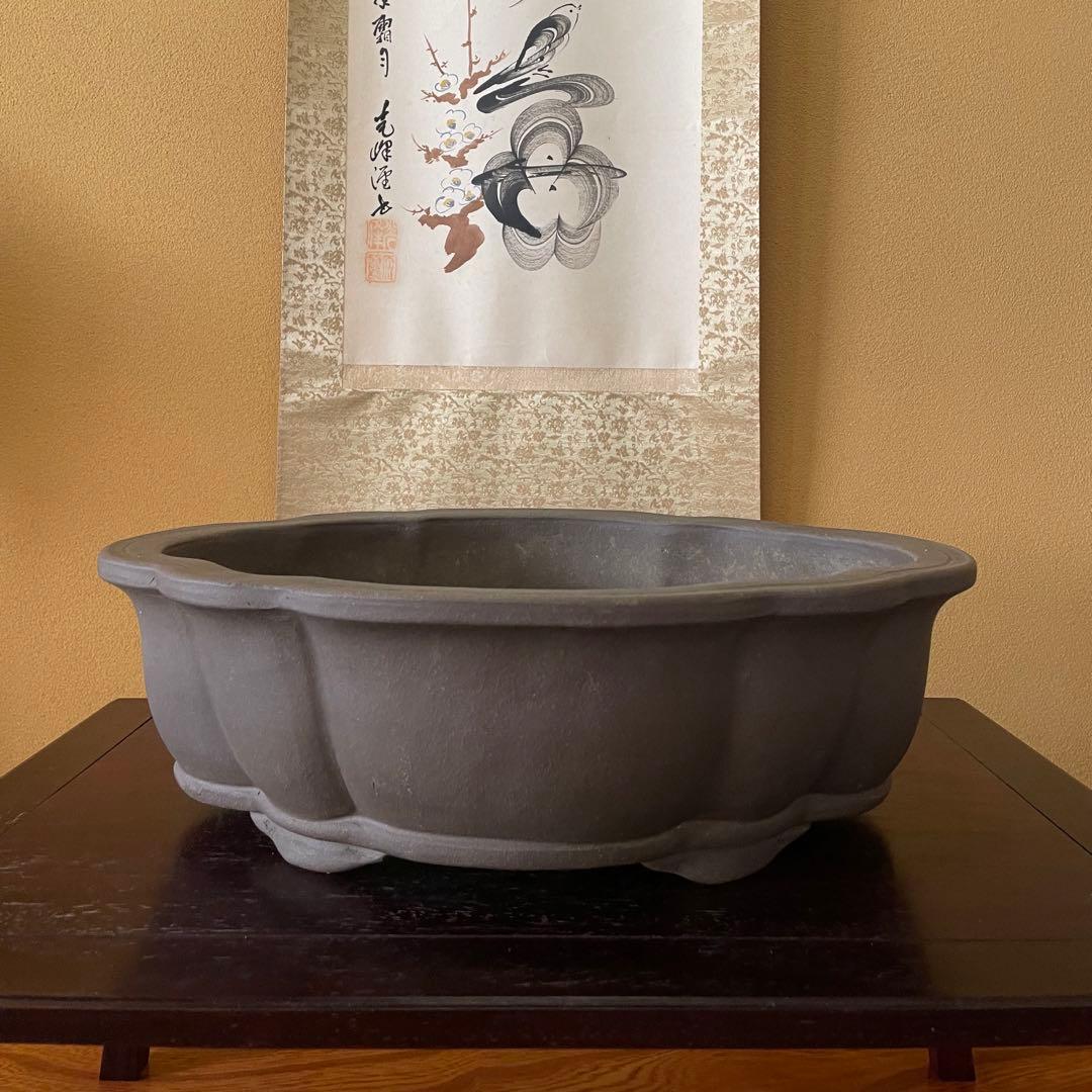 中国宜興 紫砂 木瓜下帯花足 烏泥盆栽鉢 真柏盆栽 MADE IN YIXING