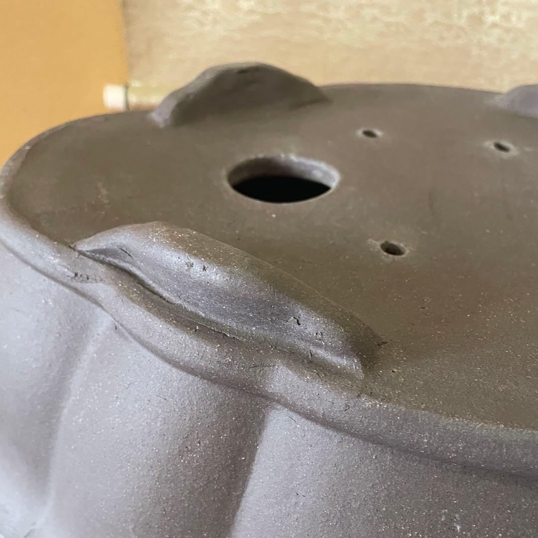 中国宜興 紫砂 木瓜下帯花足 烏泥盆栽鉢 真柏盆栽 MADE IN YIXING