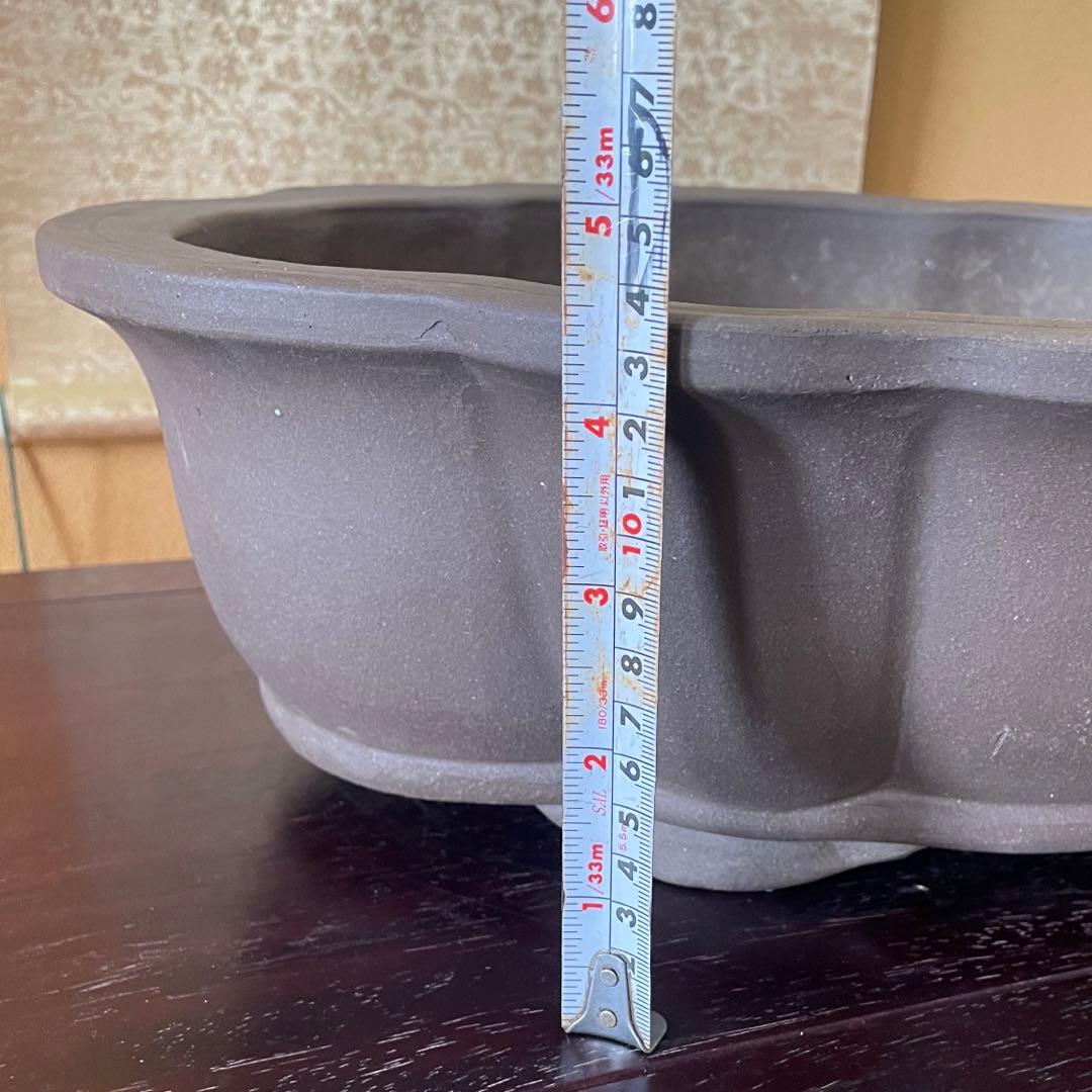 中国宜興 紫砂 木瓜下帯花足 烏泥盆栽鉢 真柏盆栽 MADE IN YIXING