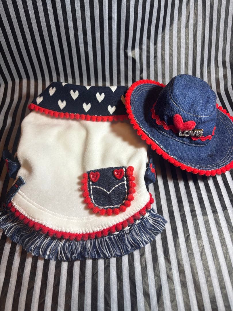 41◆OROKU 06 犬　お洋服　バレンタイン