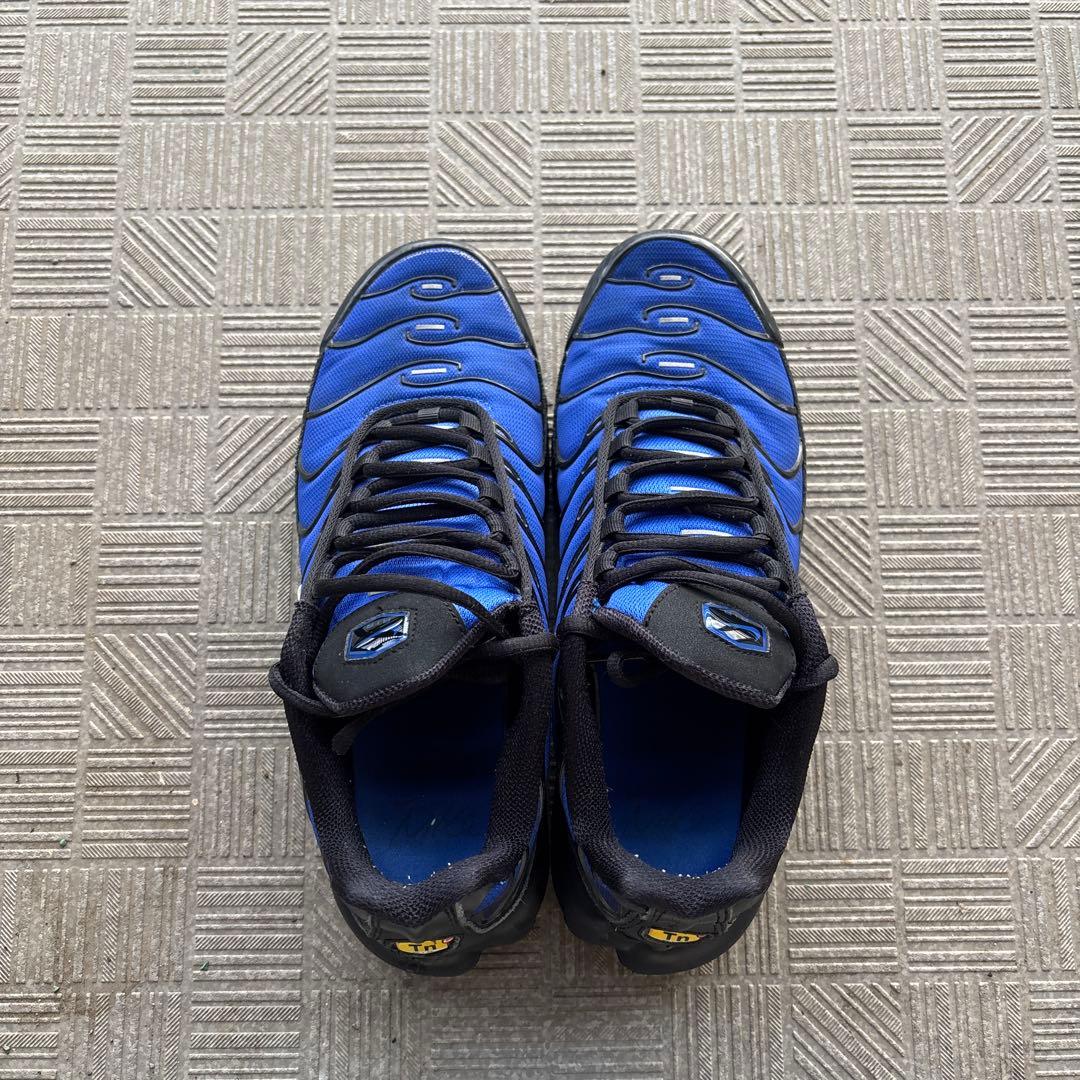 靴 Nike Air Max Plus PRM \