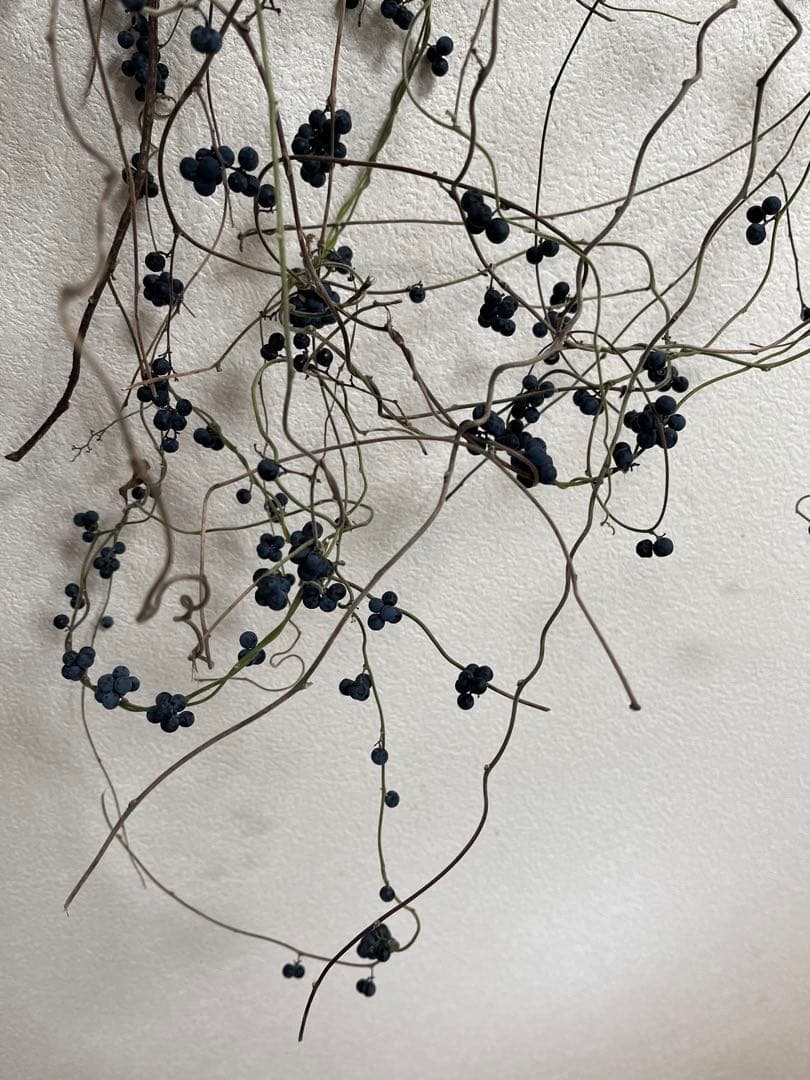 花材＊アオツヅラフジ　ドライフラワー　スワッグ、リース材料　オリジナル作品作り