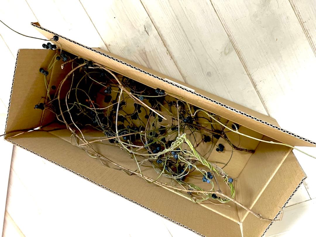 花材＊アオツヅラフジ　ドライフラワー　スワッグ、リース材料　オリジナル作品作り