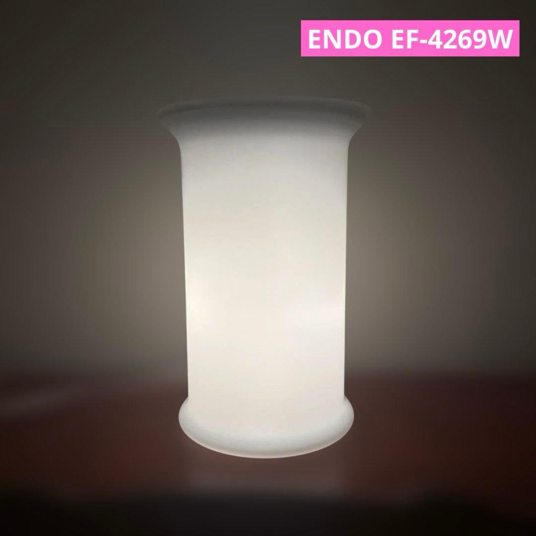 遠藤照明 ENDO EF-4269W フロスト フロアスタンド ランプ 照明