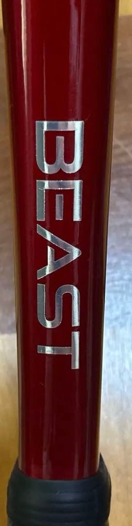 プリンスビースト