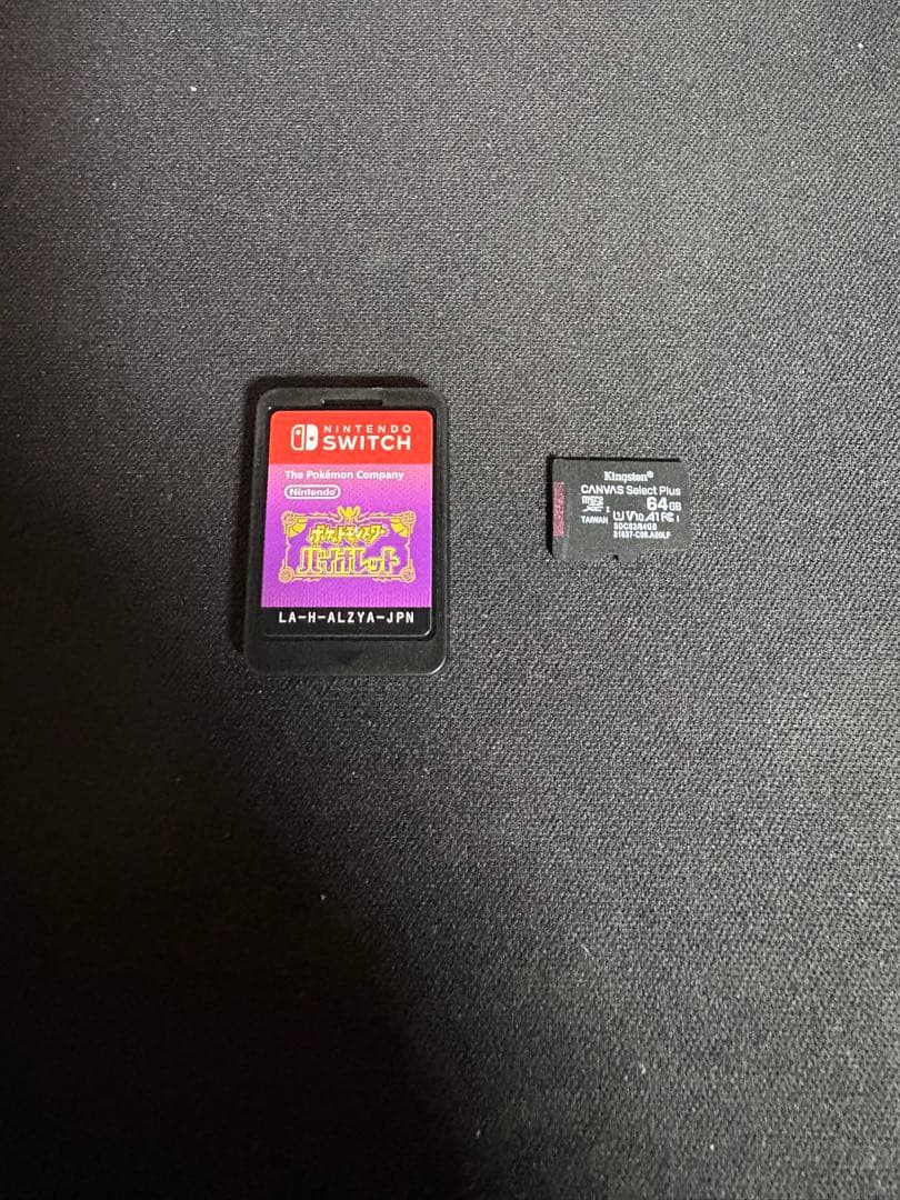 [美品]Nintendo Switch Lite コーラル ポケモンSV メモリ